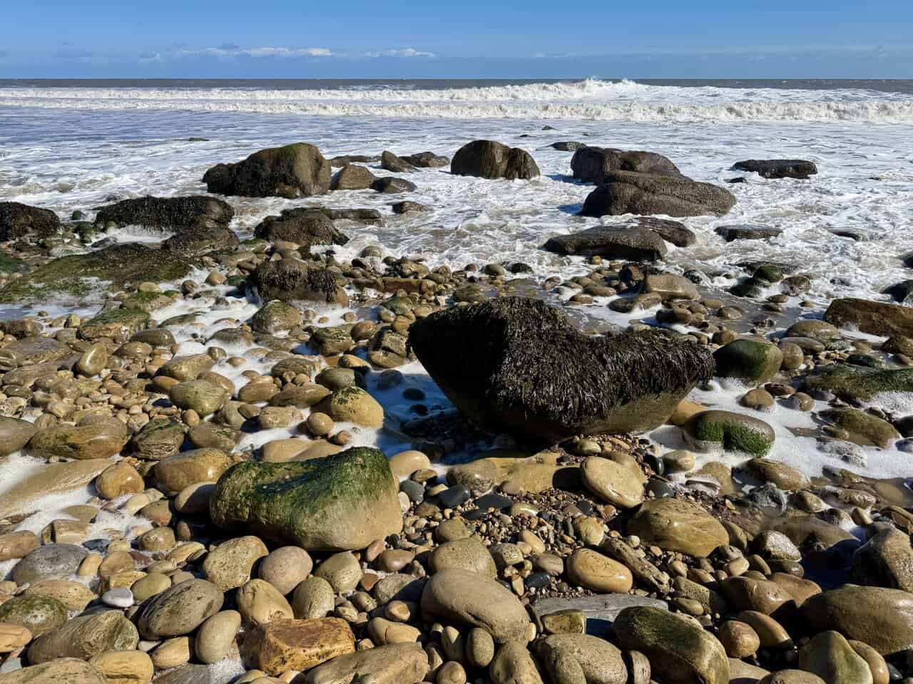 Rock pools and seaweed-covered boulders at low tide, with crabs, limpets and blennies sheltering among the stones.
