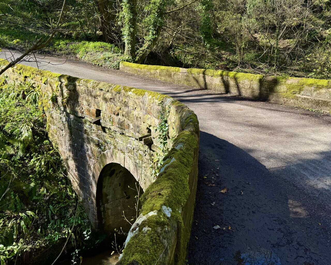 Stone bridge over Bloody Beck near Whitehouse Farm, with moss-covered parapets and a single arch tucked among the trees.