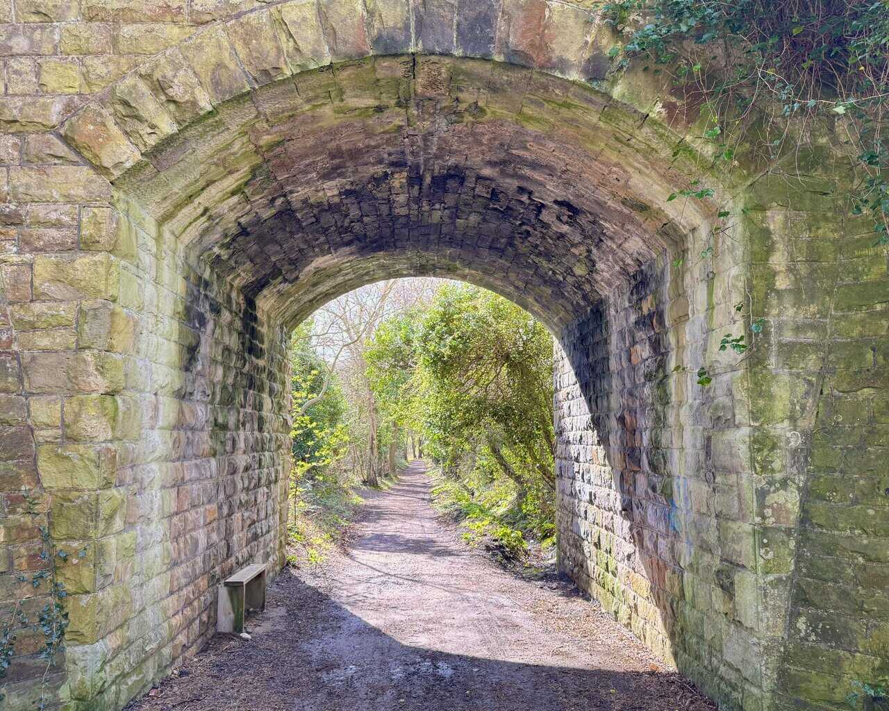 Stone tunnel leading onto the Cinder Track during the Cloughton Wyke walk, where the former railway begins the southbound return through the trees.