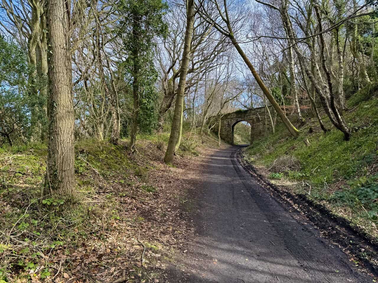 Wide, well-surfaced Cinder Track winding gently through woodland, with a stone bridge arching overhead on the old railway line.