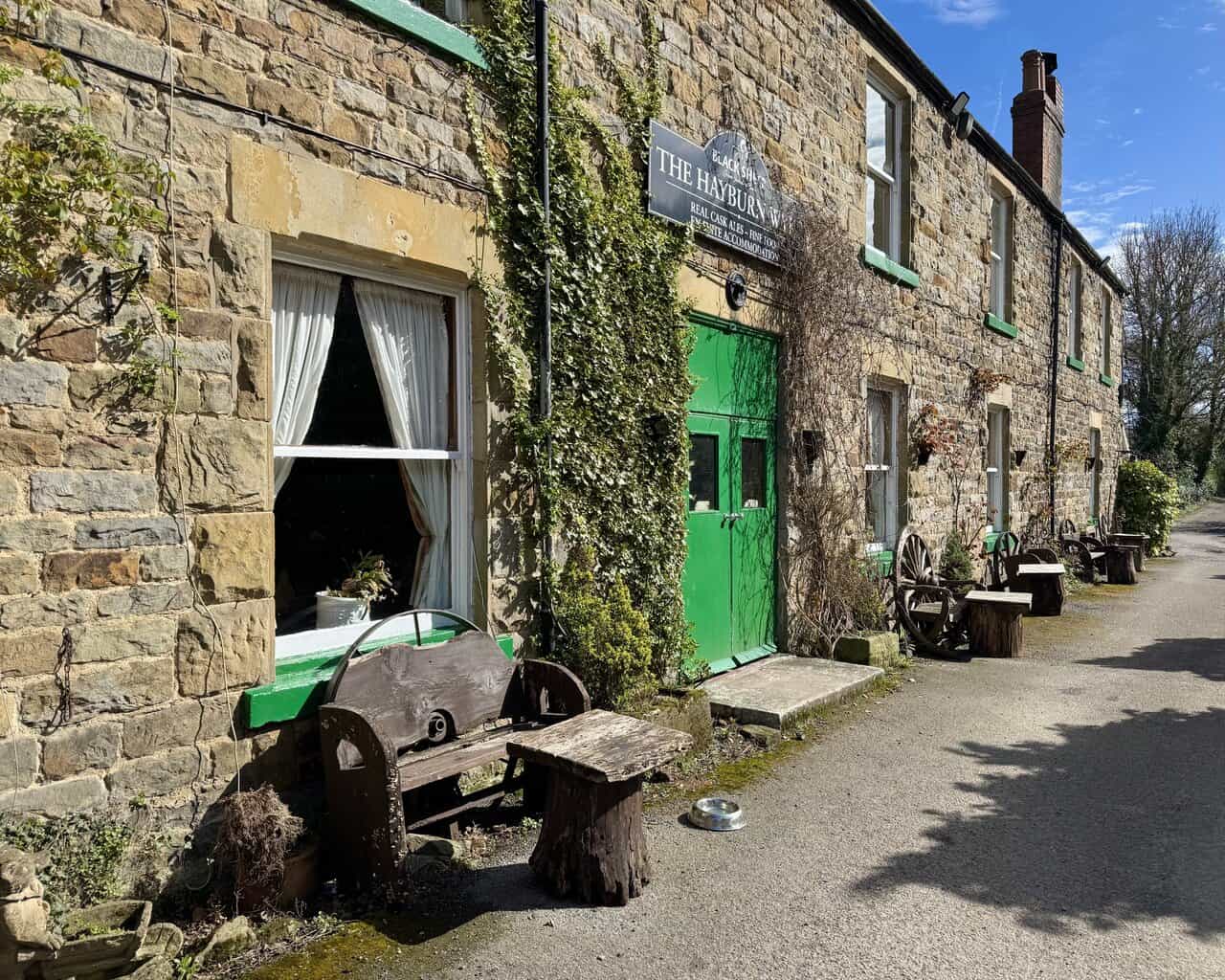 Close view of the Hayburn Wyke Inn on the Cloughton Wyke walk, with ivy on the stonework, rustic benches and old cart wheels outside.