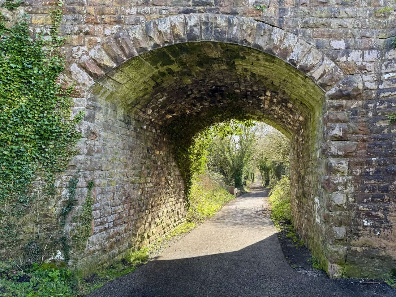 Ivy-clad stone tunnel beneath Salt Pans Lane, framing the tree-lined Cinder Track ahead.