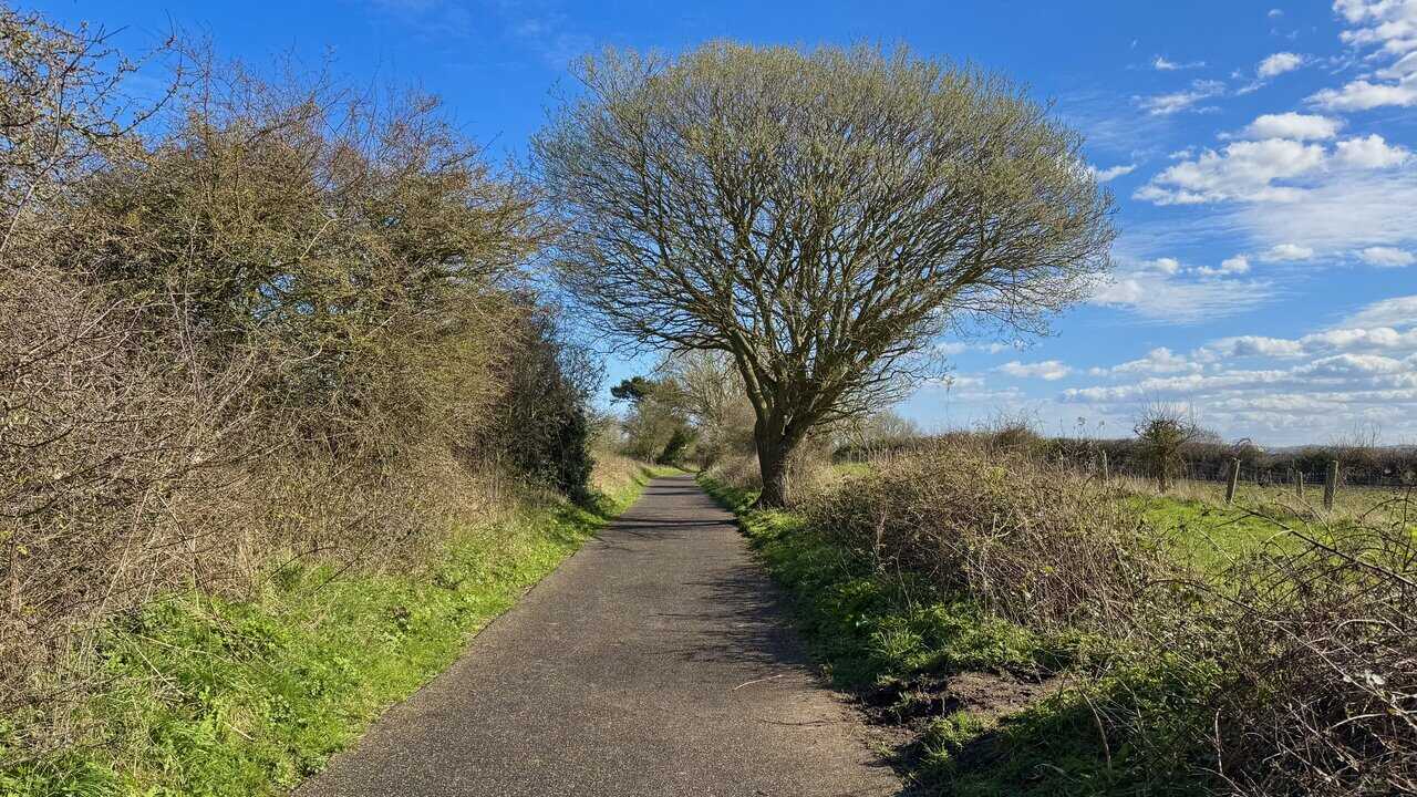 Final stretch of the Cinder Track returning to Field Lane, bringing the Cloughton Wyke walk to a close after coast, woodland and railway-path scenery.