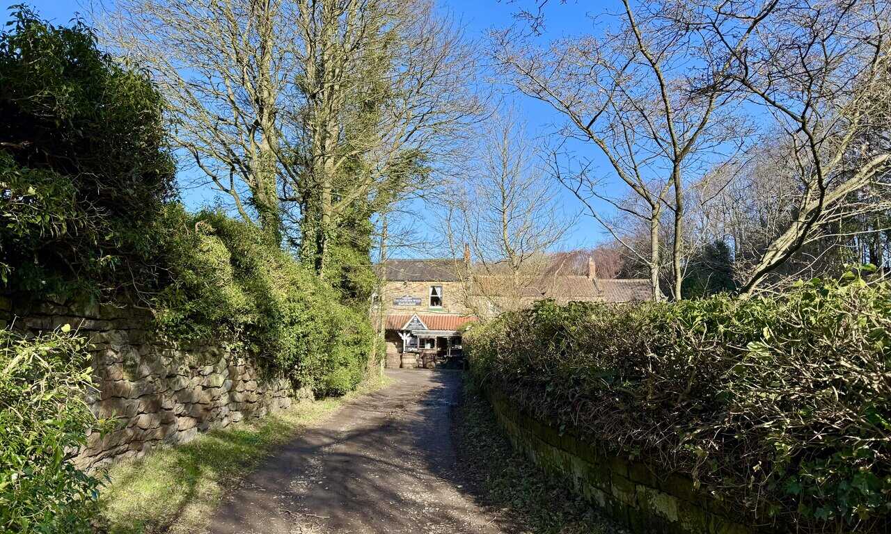 Stone-walled lane near Hayburn Wyke Hotel on a clear morning, with trees overhead and blue sky beyond.