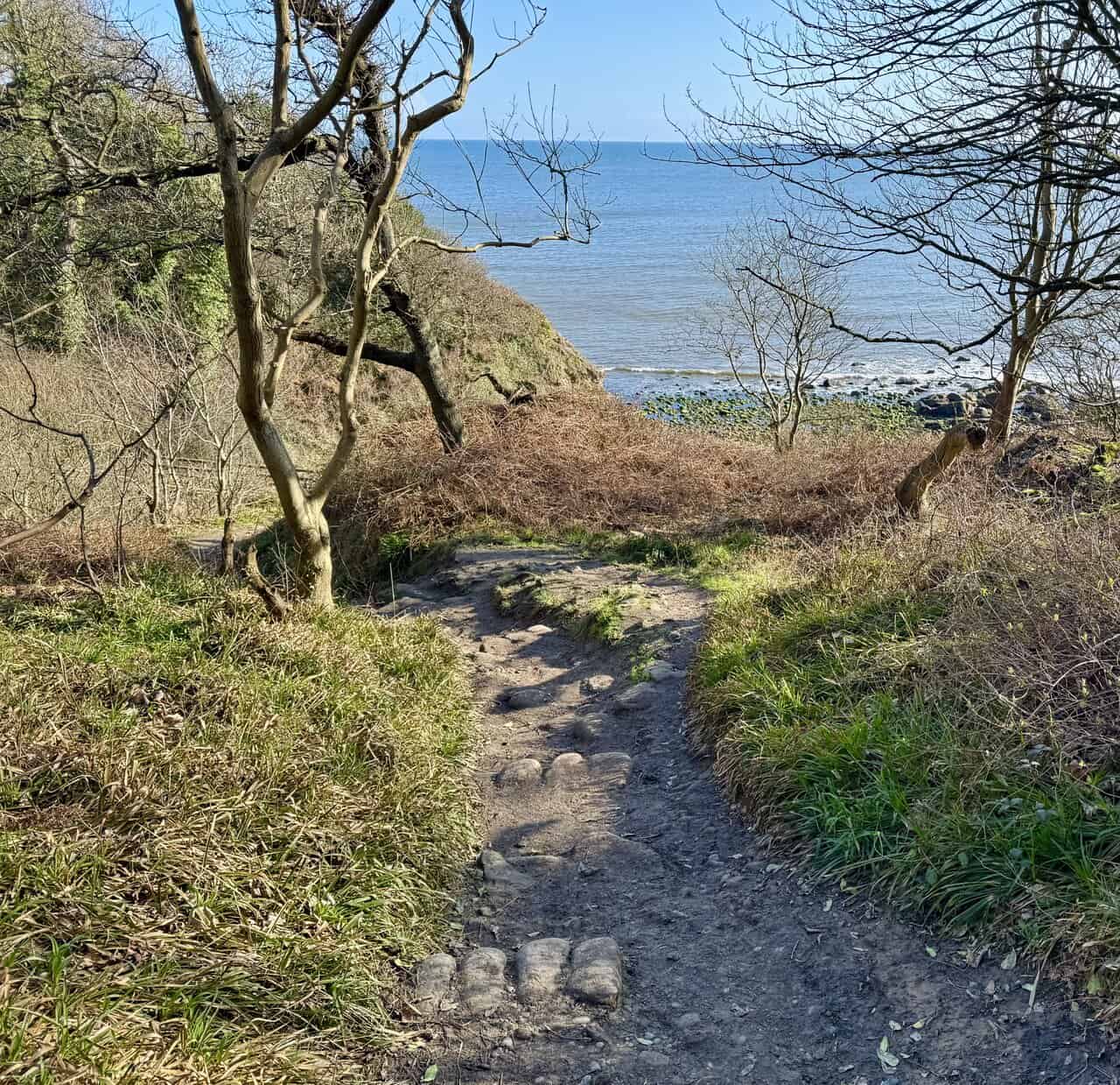 Rocky woodland path descending towards the coast, with glimpses of the sea through the trees.