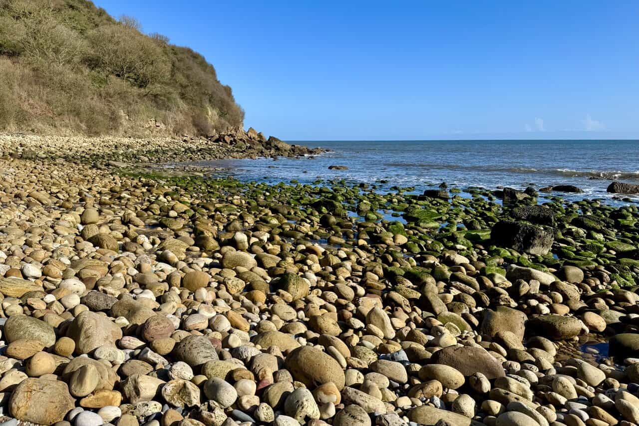 Rounded boulders and pebbles on Hayburn Wyke beach, with seaweed-covered rocks at the water’s edge.
