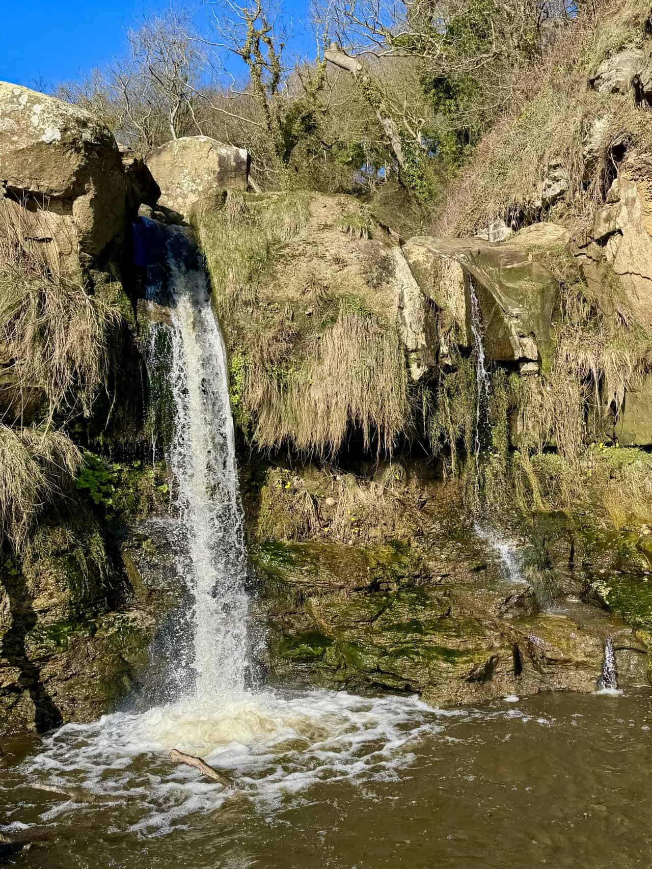 Hayburn Beck waterfall falling from the cliff onto the rocky beach at Hayburn Wyke.