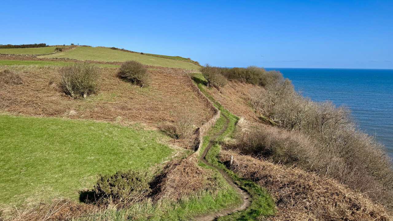 Undulating clifftop path through gorse and scrub, opening to broad coastal views.
