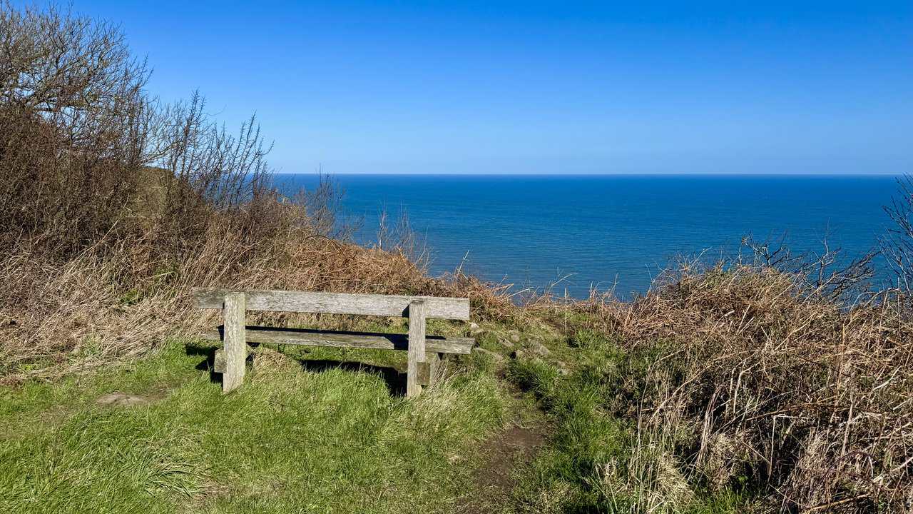 Wooden bench on the cliff edge overlooking the open North Sea.