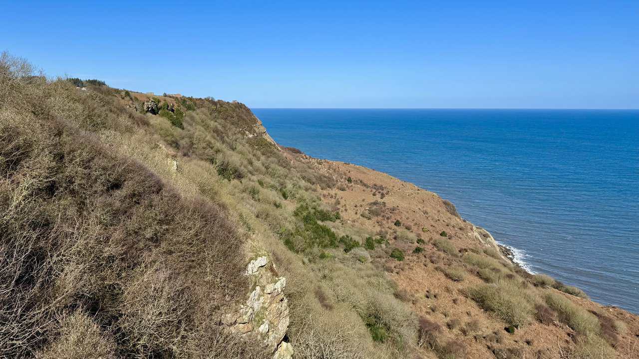 View from Common Cliff, with steep coastal slopes and rugged cliffs stretching northwards.