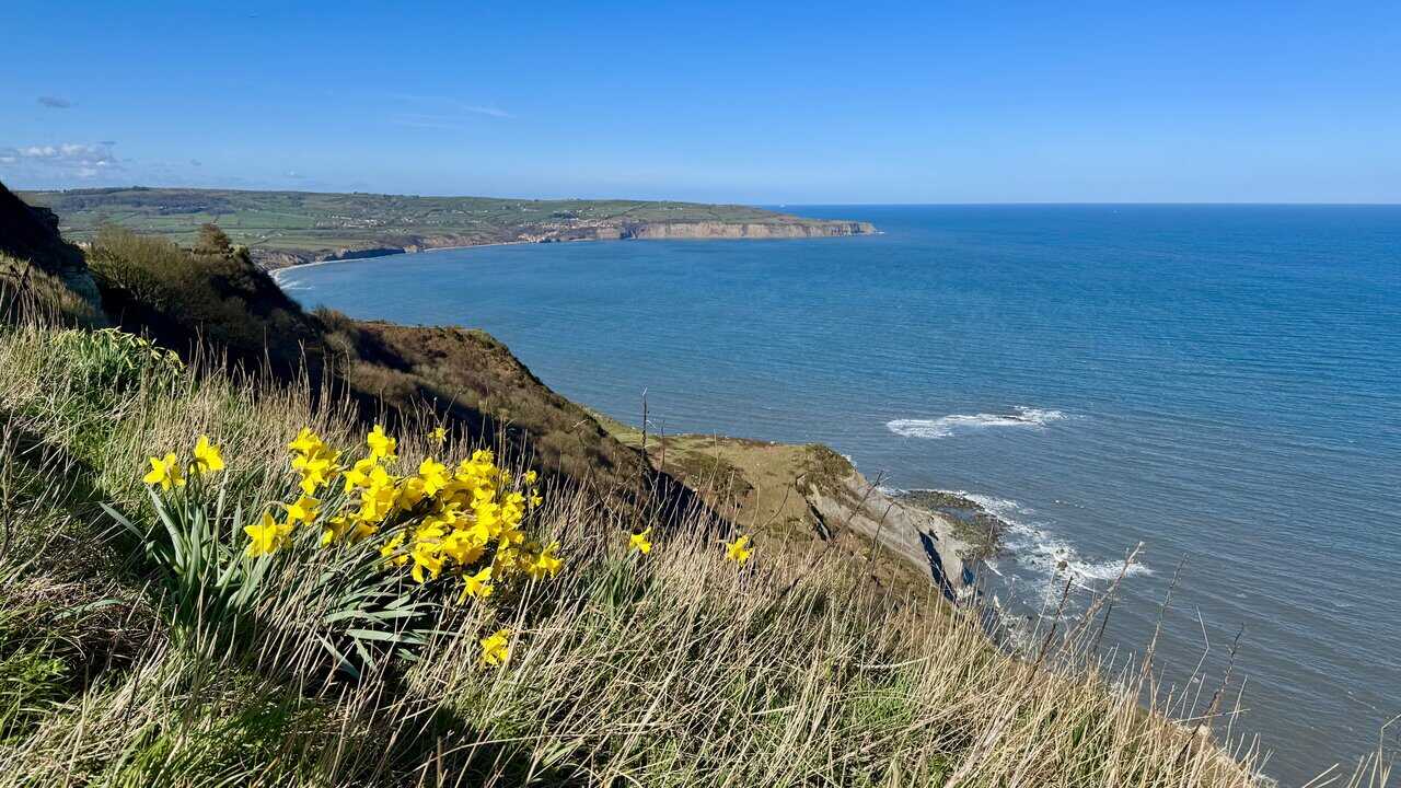Wide view across Robin Hood’s Bay, with the village visible beneath the distant cliffs. One of the best views on the Hayburn Wyke walk.