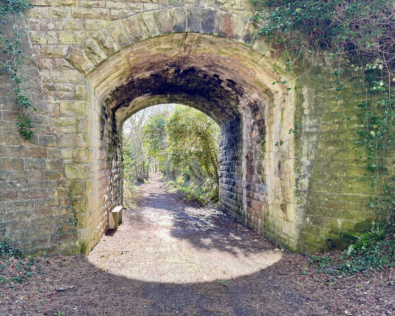 Stone tunnel carrying the farm lane above the Cinder Track, framed by ivy and vegetation.