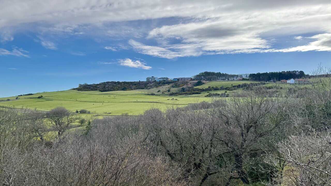 Raven Hall Hotel perched on the clifftop above the green sweep of its golf course, with sheep grazing on the hillside below.