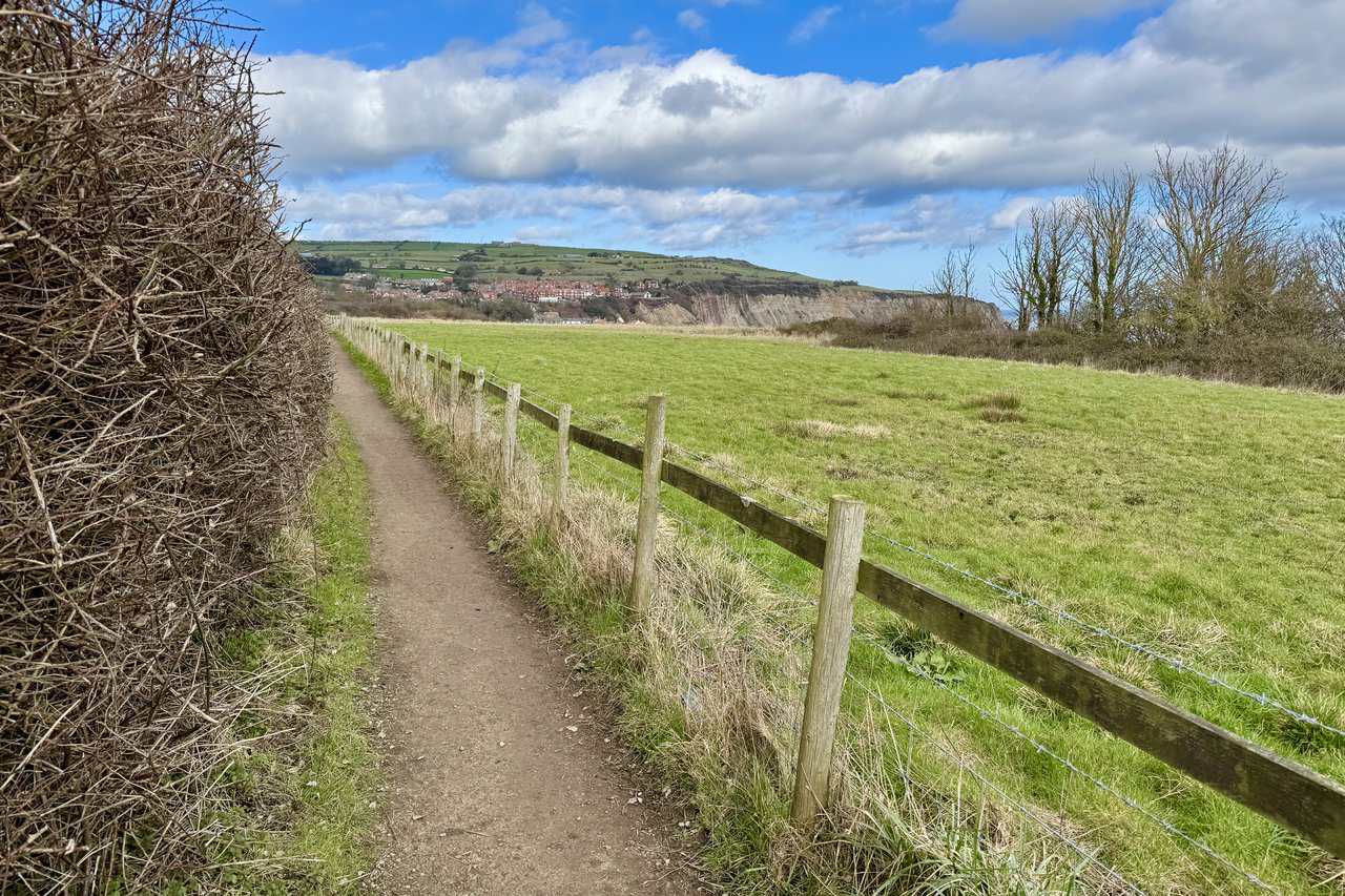 Narrow Cleveland Way path between a hedge and wire fence, with green fields to the right and Robin Hood’s Bay ahead.