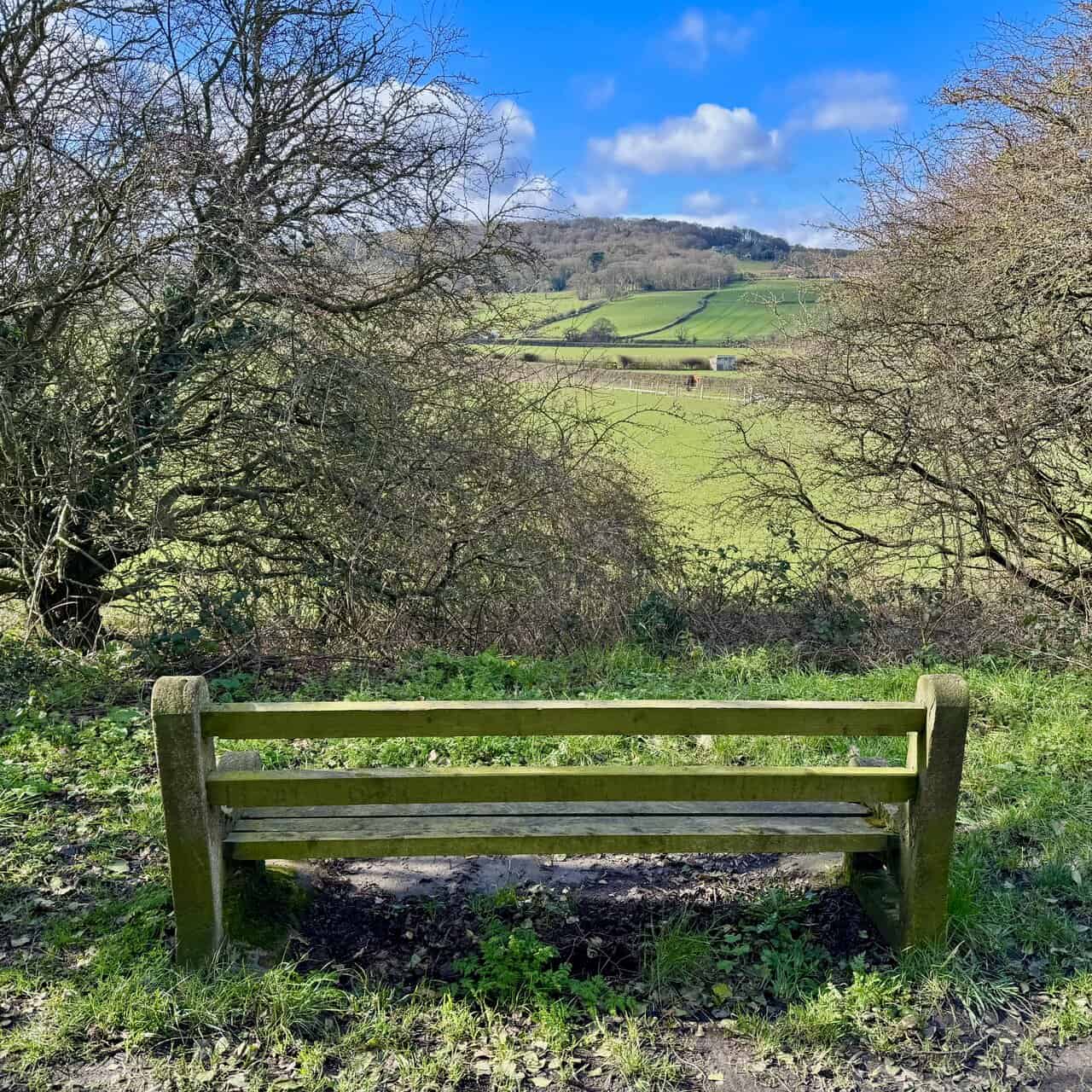 Bench beside the Cinder Track, with a view through the hedgerow across green fields and rolling inland hills.