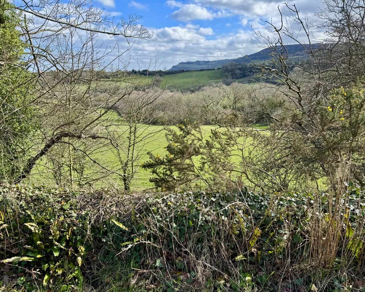 Distant view of Raven Hall Hotel on the clifftop, seen through a gap in the hedgerow from the Cinder Track.