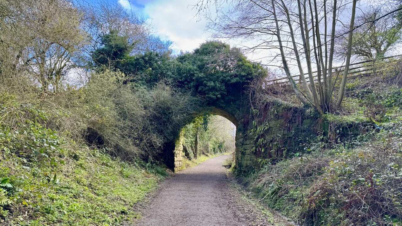 Old stone bridge over the Cinder Track, heavily overgrown with ivy, ferns and scrub.