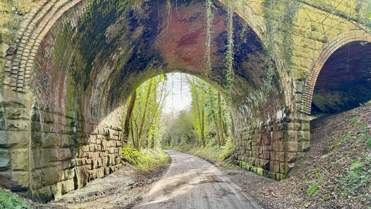 Large stone and brick bridge carrying Bridge Holm Lane over the Cinder Track, with ivy hanging down from the arch.