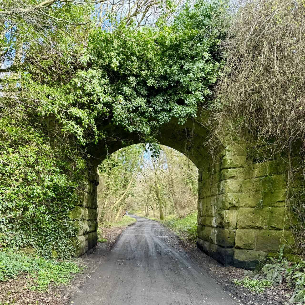 Cinder Track through open countryside, a former railway route now used by walkers, cyclists and horse riders.