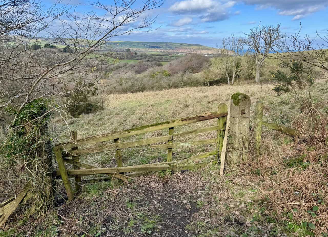 View back north from the Cinder Track towards Robin Hood’s Bay, with red rooftops in the distance beyond green fields and bare trees.