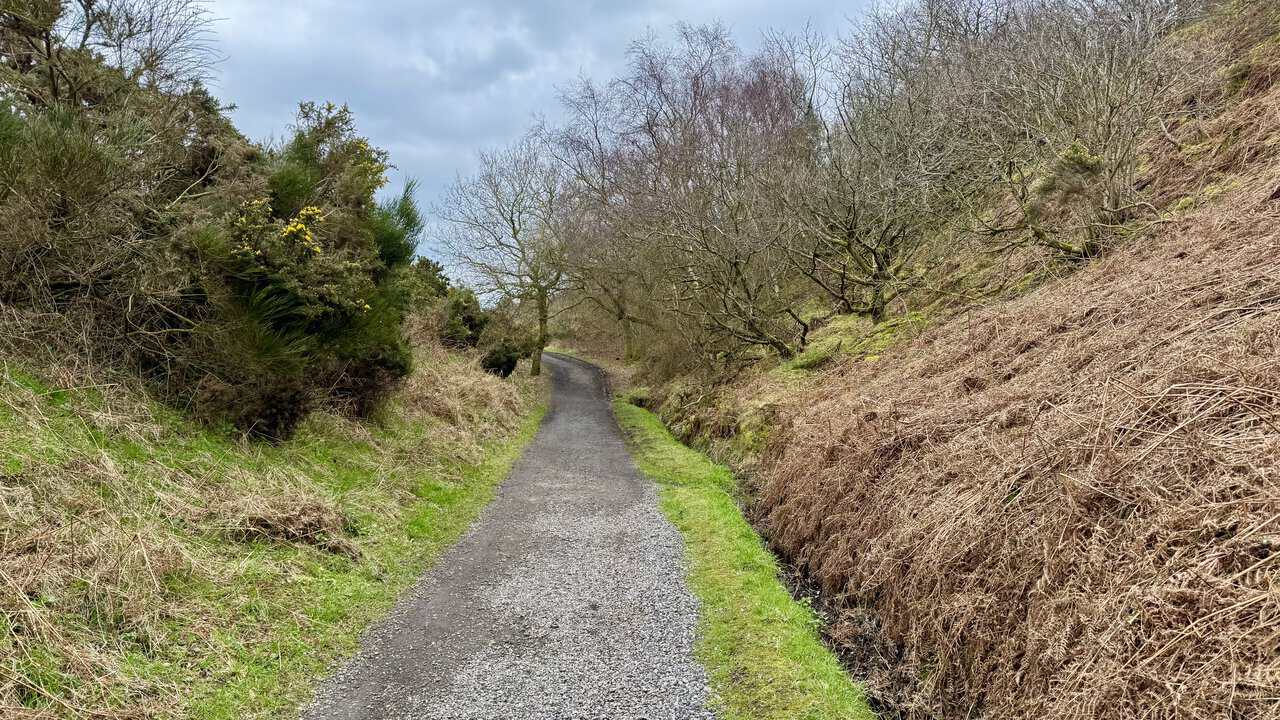 Final stretch of the Cinder Track near Ravenscar, with the path curving through a shallow cutting lined with bracken, gorse and bare trees.