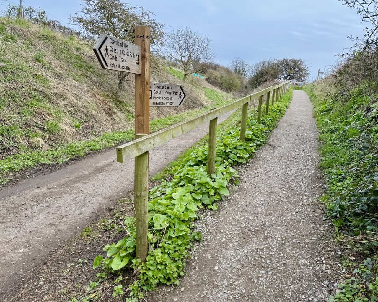 Wooden signpost marking the fork for the Cleveland Way, Coast to Coast Path and Cinder Track.
