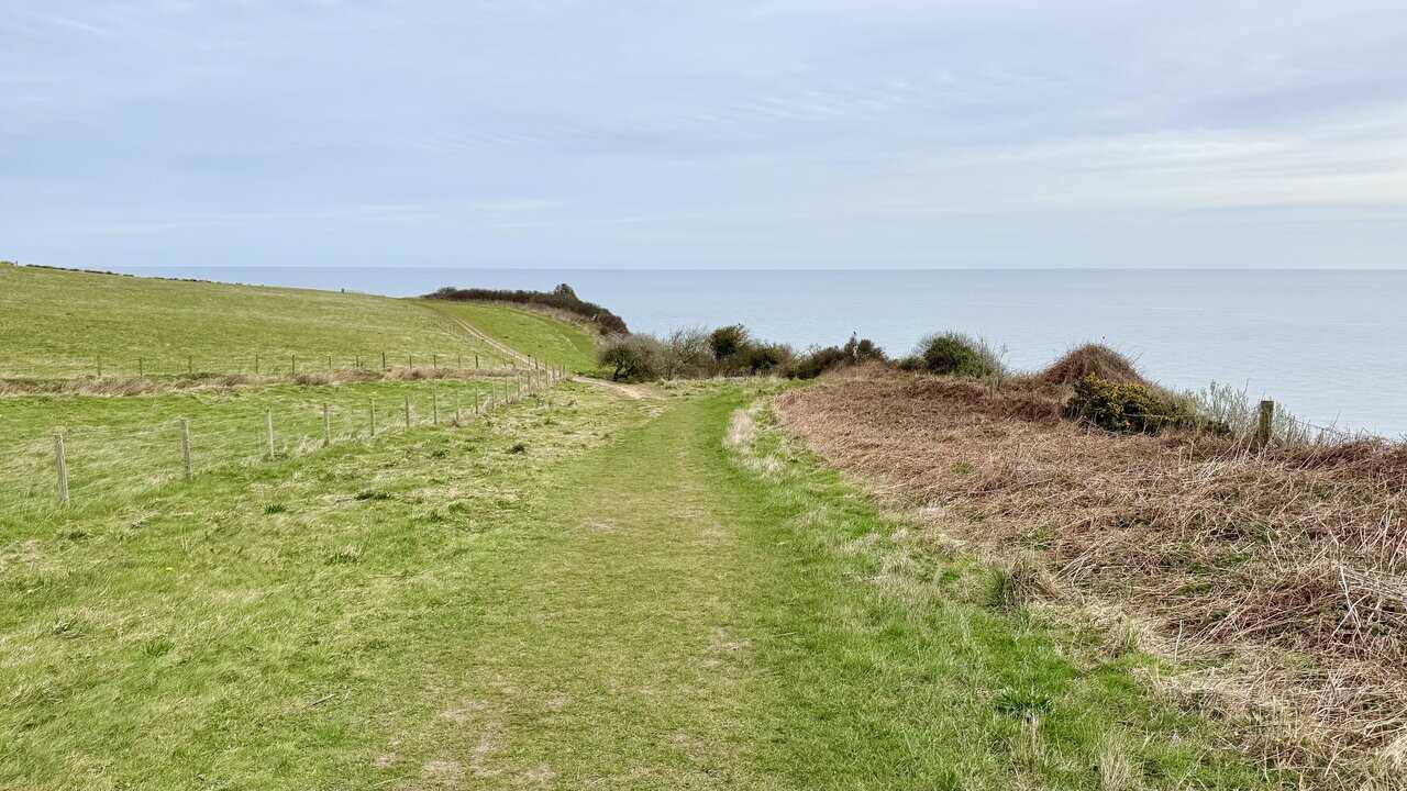 Grassy Cleveland Way path running between open fields and the sea.
