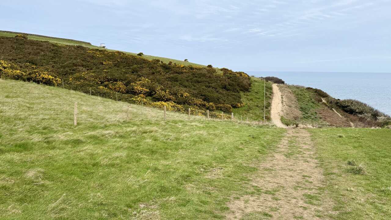 Sandy clifftop section of the Cleveland Way above the coast on the Robin Hood's Bay walk.