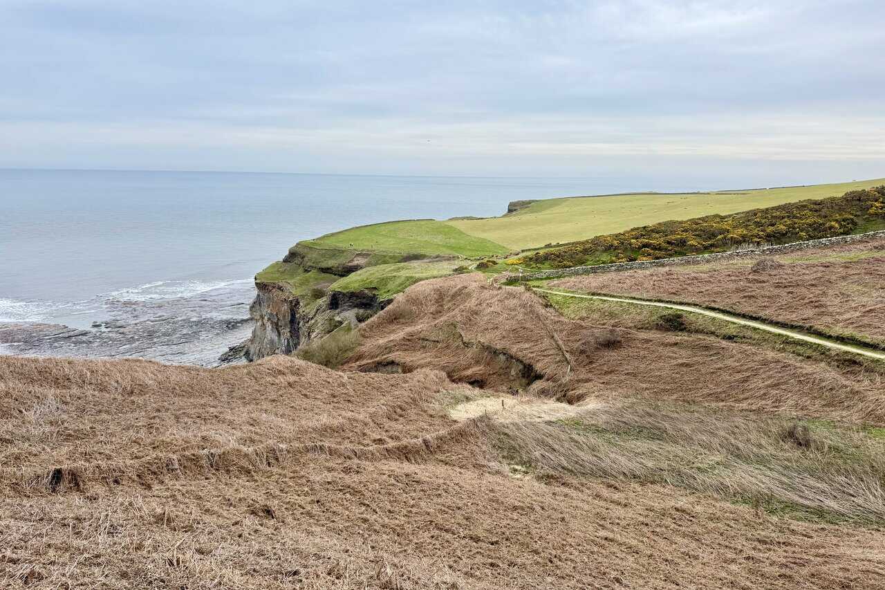 Rain Dale hollow, cliff-edge path and gorse-covered slopes on the Robin Hood's Bay walk.
