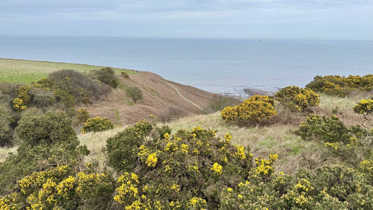 View down to Rain Dale and the Cleveland Way winding across the headland.