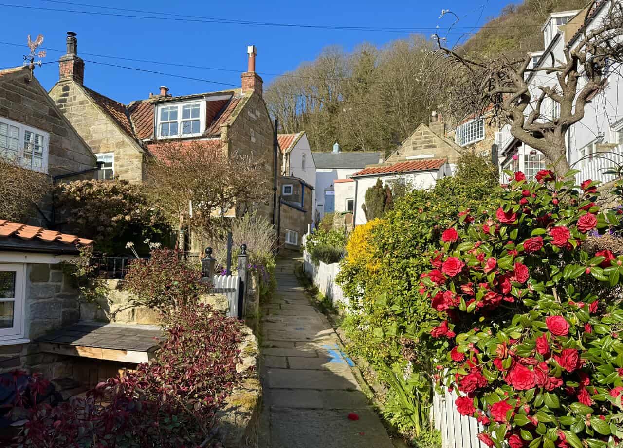 Clifftop view from the Cleveland Way above Runswick Bay, with grassy slopes dropping to a dark rocky shoreline and waves breaking below.