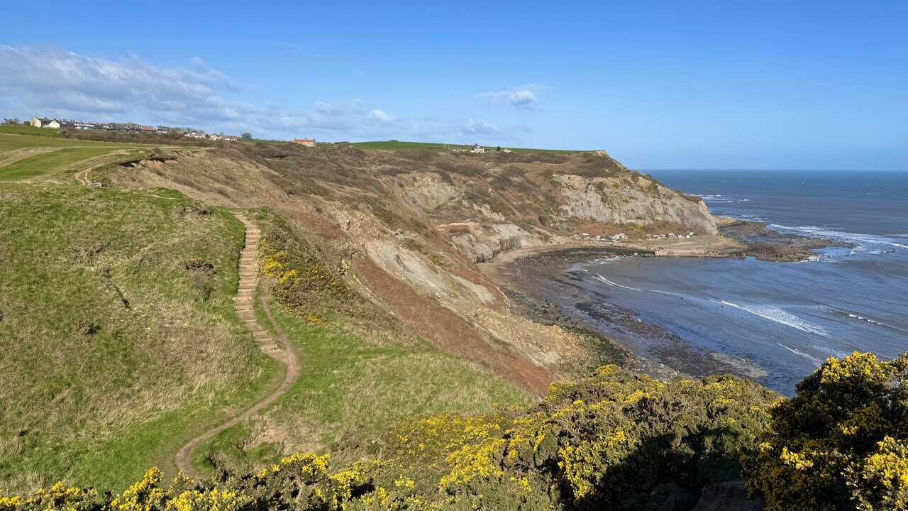 The Cleveland Way on the Runswick Bay walk running beside green farmland above the sea, with steps dropping into a small valley and rising again on the far side.