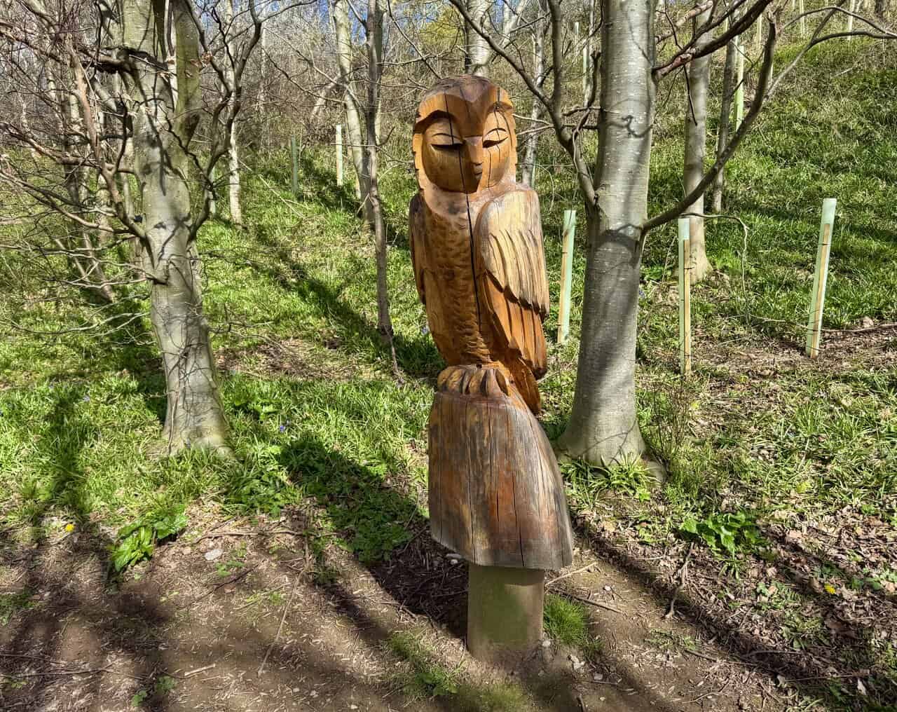 Carved wooden owl sculpture in Oakrigg Wood, standing on a stump among young trees in the local nature reserve.
