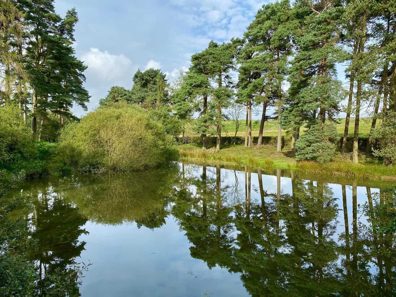 Calm reflections on Lumley Moor Reservoir during the Crackpots Mosaic Walk.
