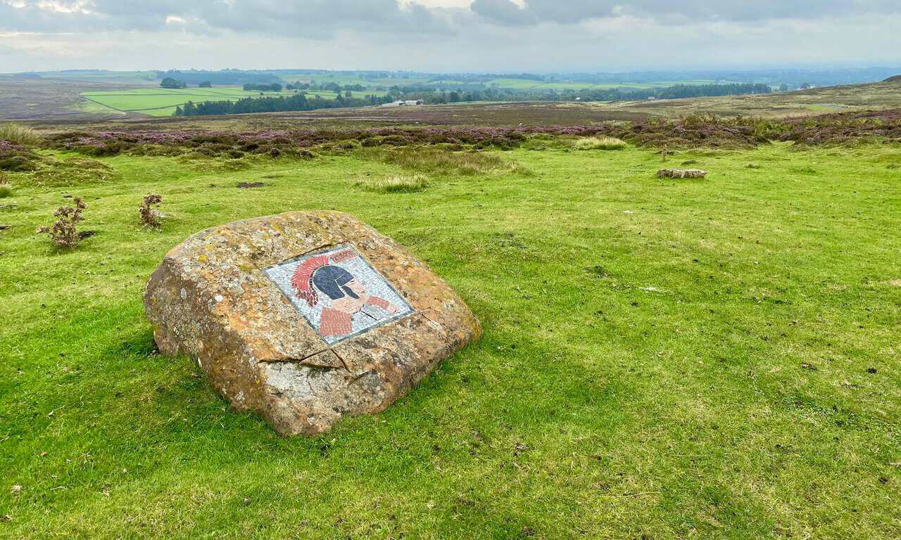 Farmland and open moorland near Kirkby Malzeard on the Crackpots Mosaic Walk.