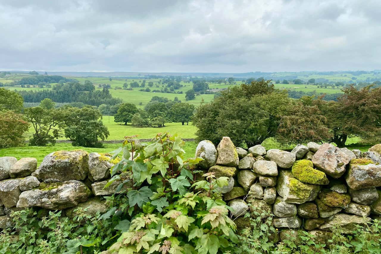 Rolling Dallowgill countryside with fields dry stone walls and quiet rural views.
