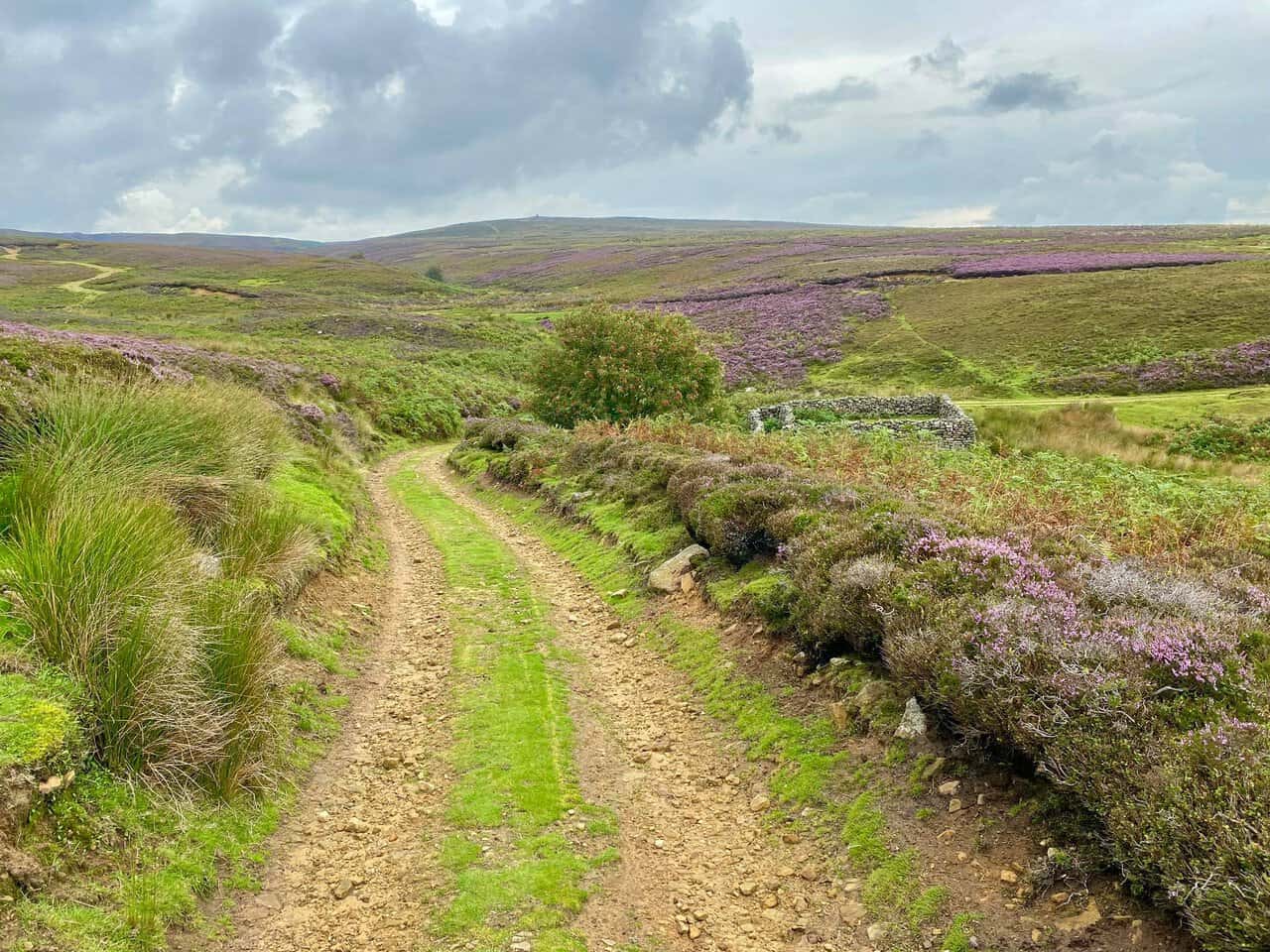A broad track crossing Kirkby Malzeard Moor near the start of the Crackpots Mosaic Walk.