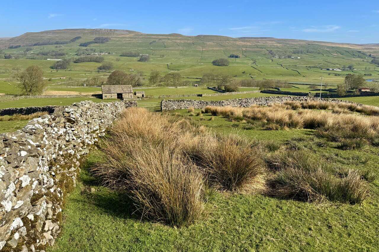 Open Wensleydale countryside on the approach to Burtersett, with green fields, dry stone walls, and wide Yorkshire Dales views.