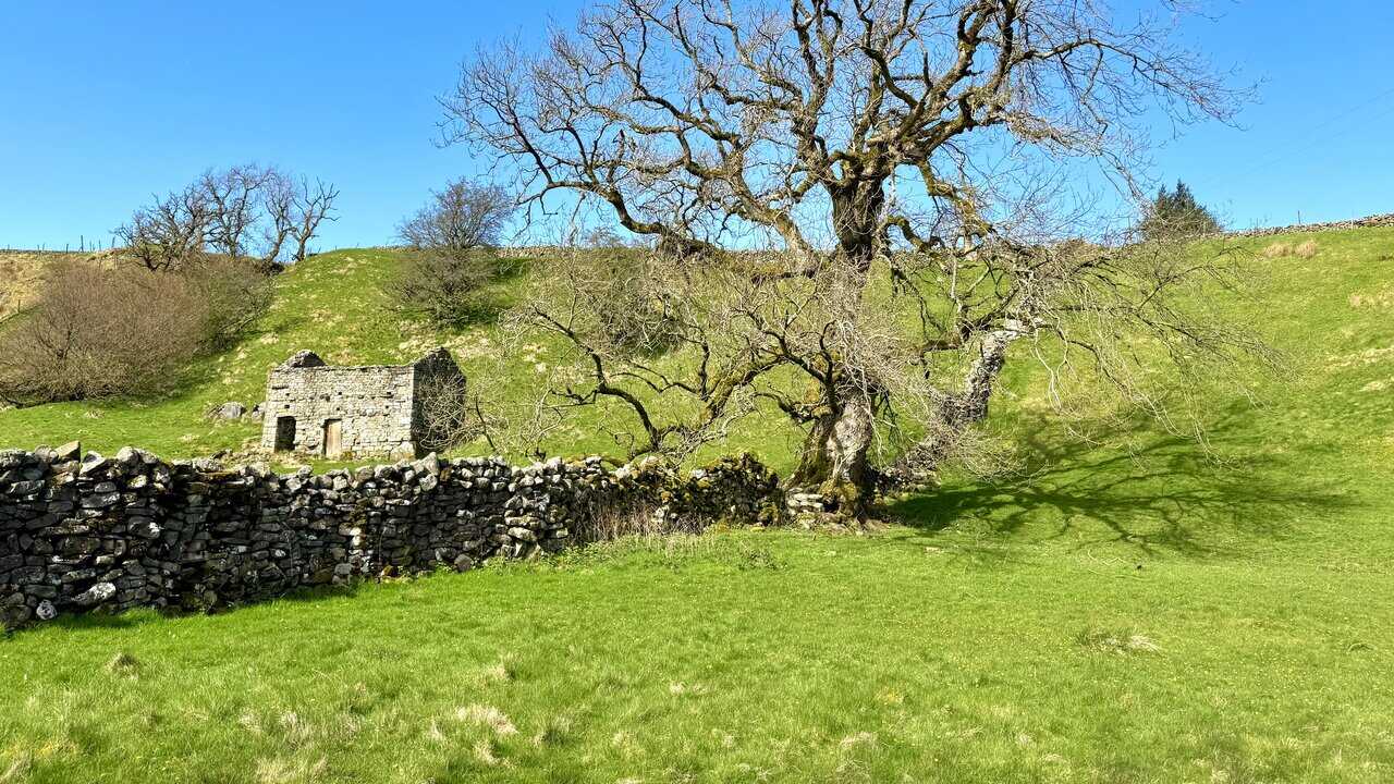 Crossing the countryside on the way to Aysgill Force, with grassy fields, walls, and a clear path ahead.