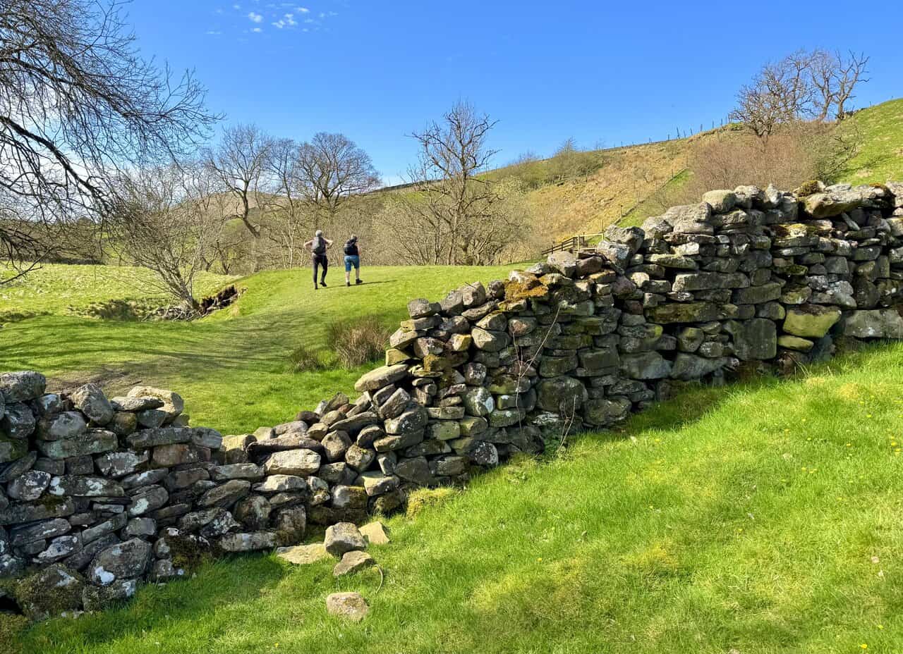 Beautiful Wensleydale countryside on the approach to Aysgill Force under bright skies.