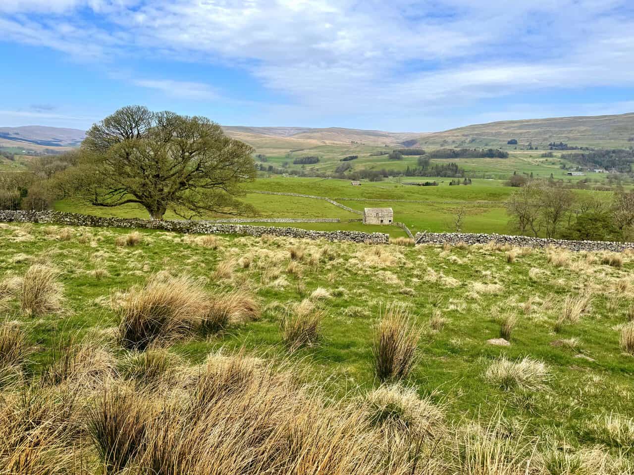 Sunlit views across the Wensleydale landscape, with green fields, dry stone walls, and distant fells.