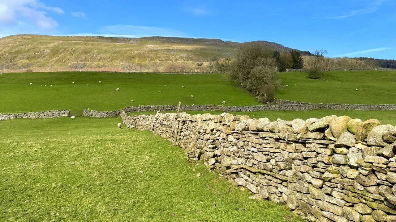 Lovely open countryside on the way to Sedbusk, with fields, tracks, and far-reaching Yorkshire Dales views.