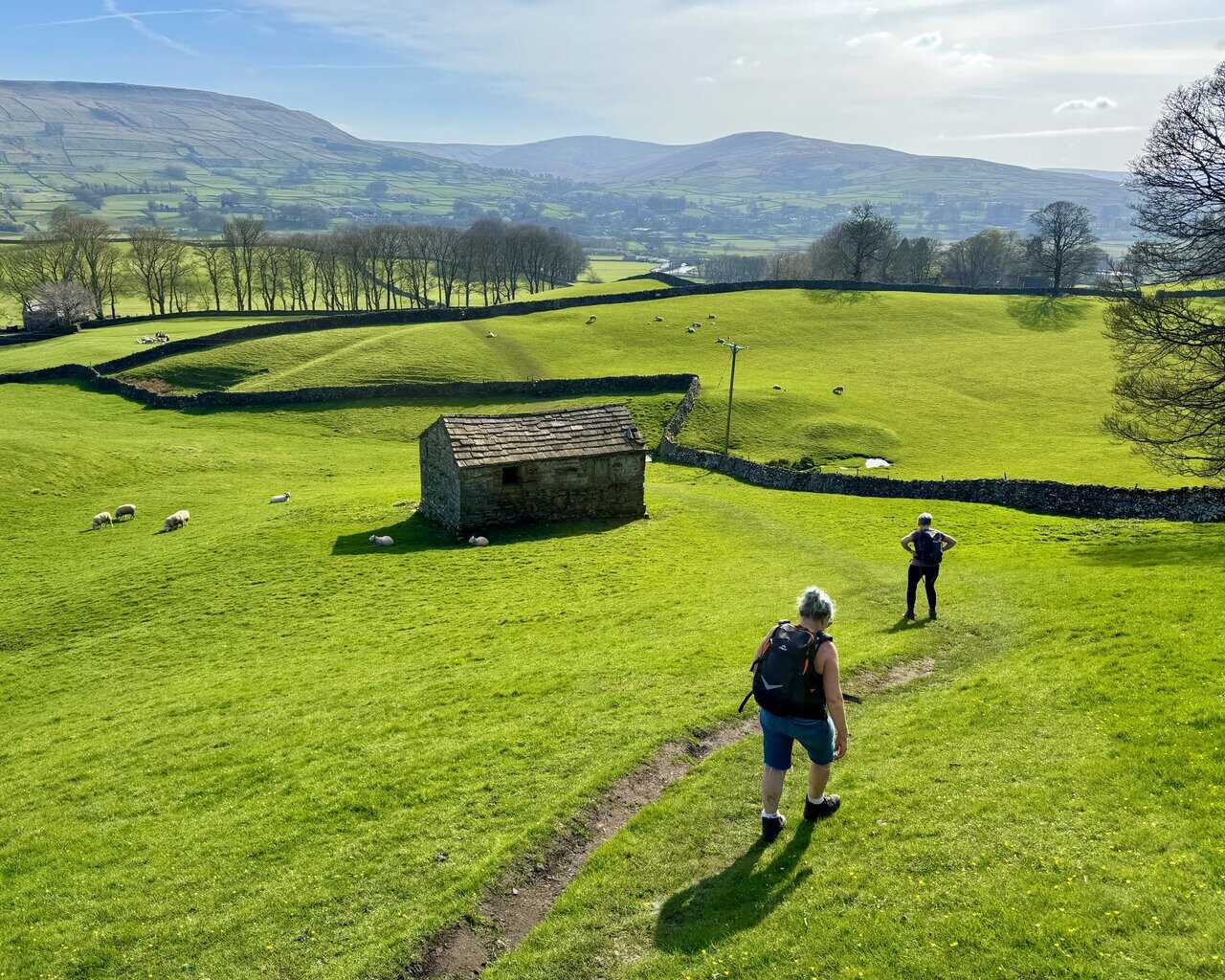 Heading down from Sedbusk towards Bellow Hill along a clear path across the hillside.