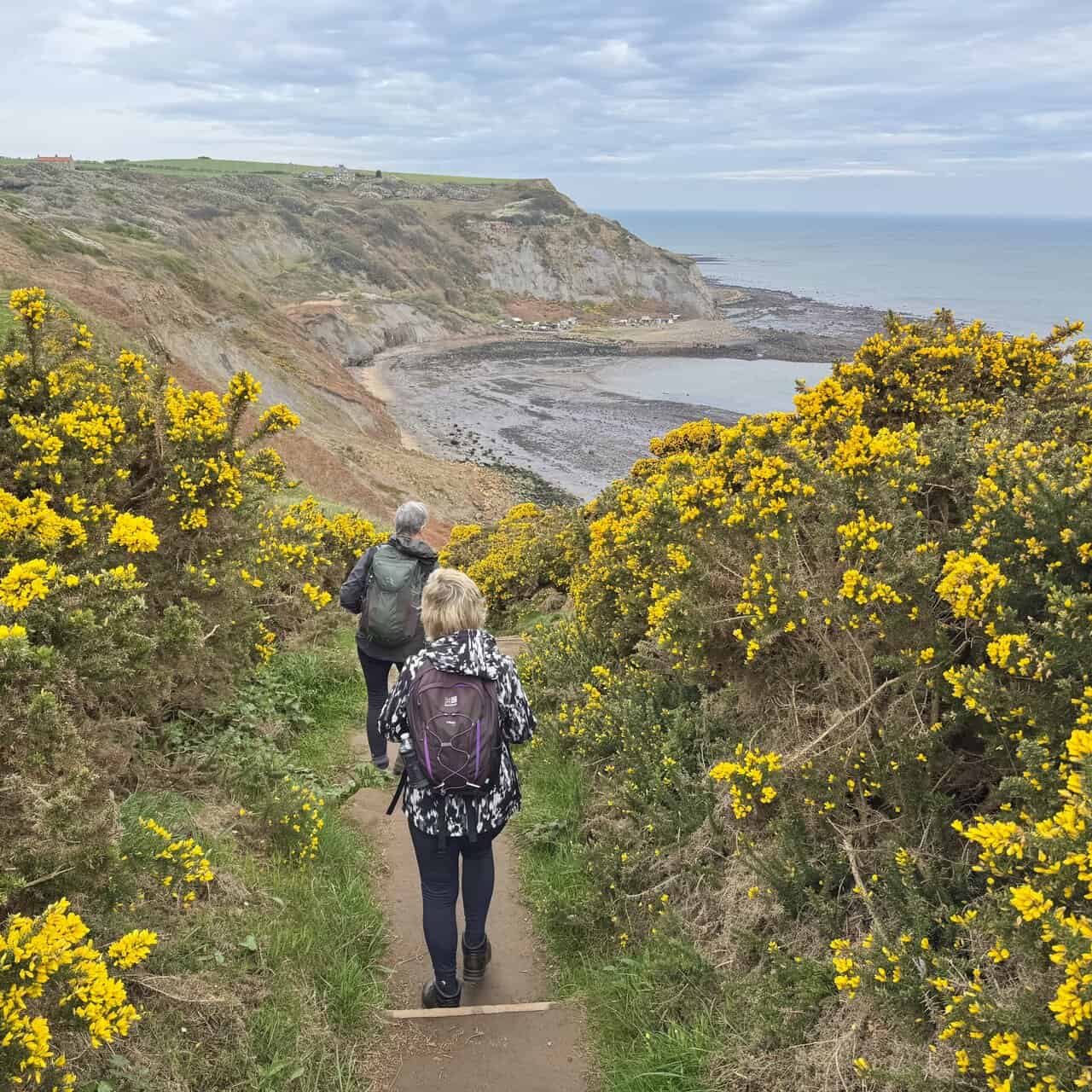 The Cleveland Way follows the cliff edge on the Runswick Bay circular walk.