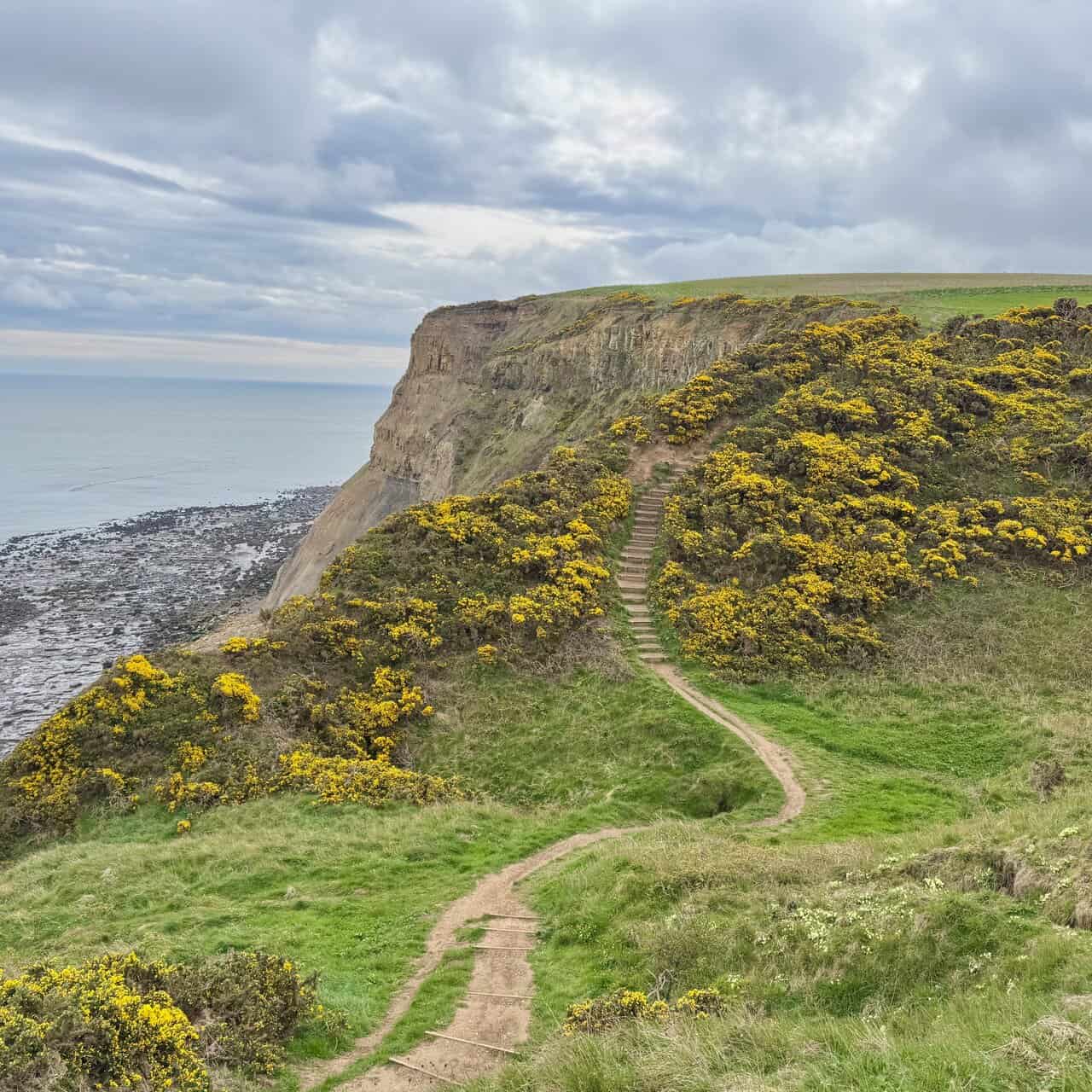 A section of the Cleveland Way on the Runswick Bay circular walk heads north above the sea.