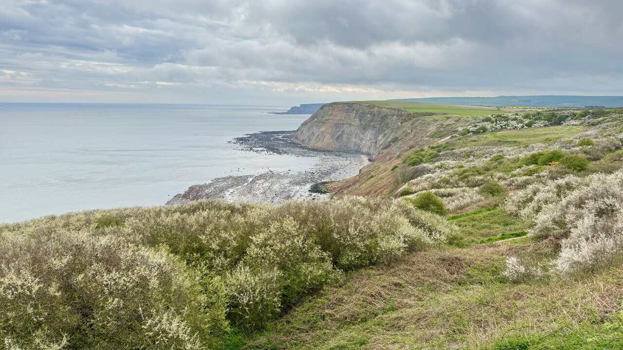 Open clifftop views on the Runswick Bay circular walk show the scale of this dramatic coastline.