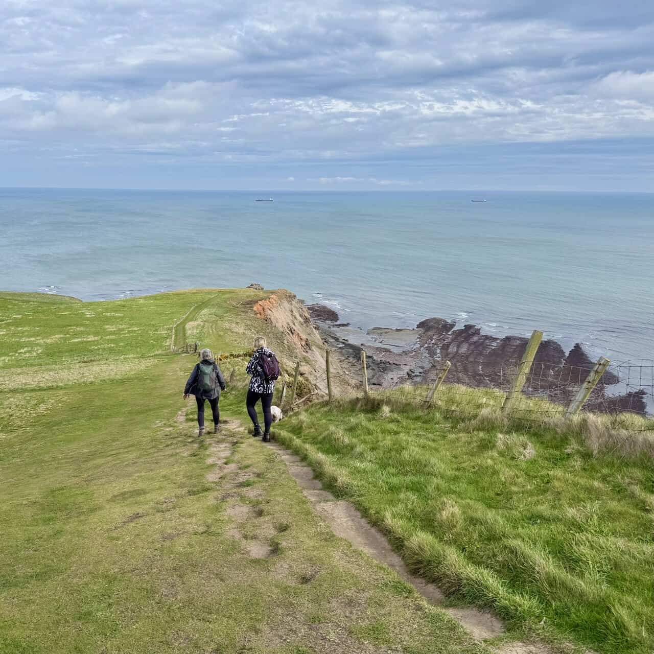 Exposed rock and eroded ground at Old Nab highlight the wild nature of the Runswick Bay circular walk.