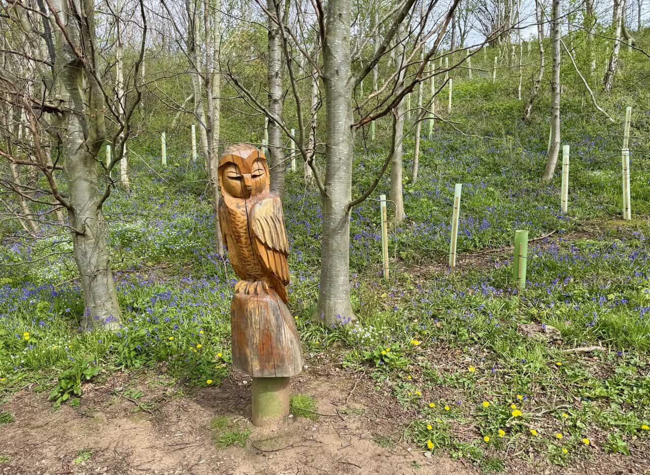 A carved owl sculpture stands beside the path in Oakrigg Wood.