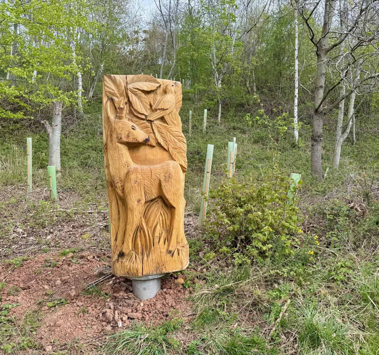 A wooden panel showing a deer appears along the route through Oakrigg Wood.