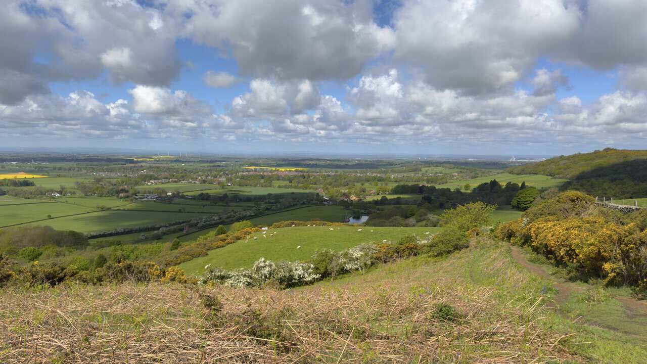 Great Ayton nestles among fields, hedgerows and trees, with yellow gorse in bloom and the wider Teesside plain stretching into the distance.